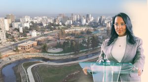 Read more about the article ከብክለት ወደ ውበት