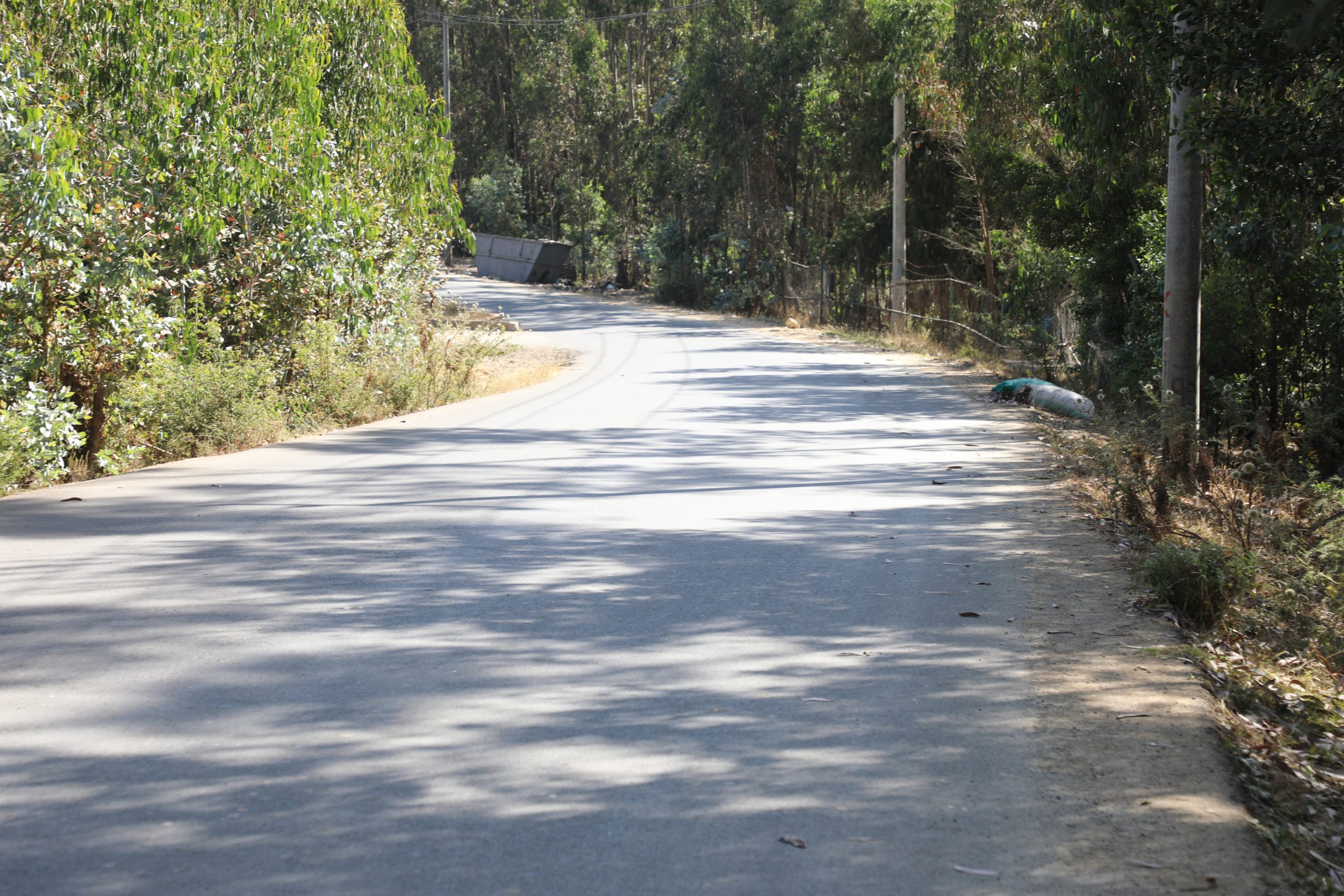 You are currently viewing ከተሜነትና የዱር እንስሳት ጥበቃ ሚዛን