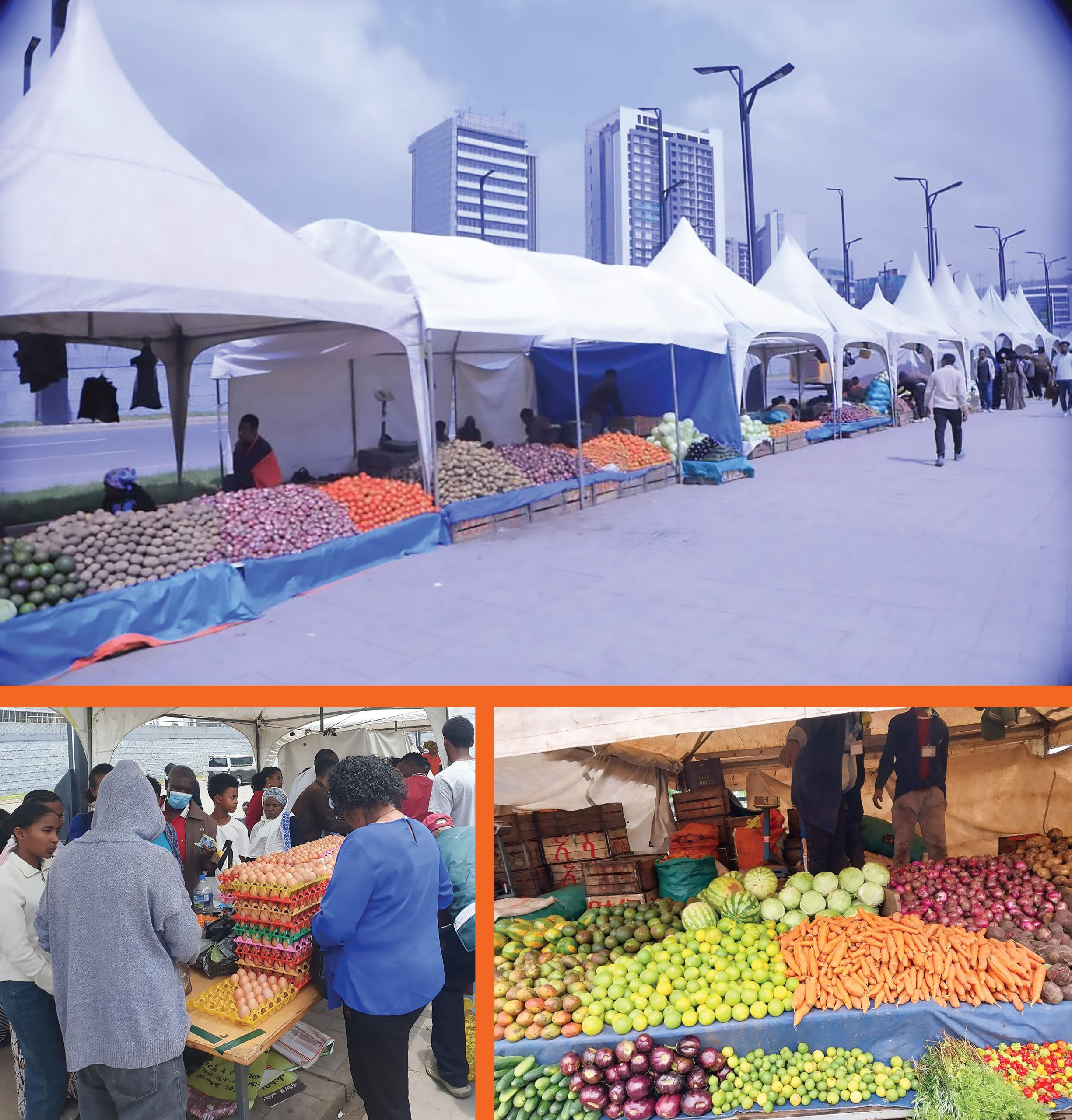 You are currently viewing በባዛሮች የሚከናወነው ሸመታ ምን መልክ አለው?