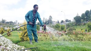 Read more about the article ከመትከል ባሻገር