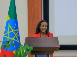 Read more about the article ሁሉም የመንግስት አገልግሎቶች ወደ መሶብ የአንድ ማዕከል አገልግሎት ይገባሉ