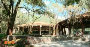 Read more about the article ተፈጥሮን ከዘመናዊነት ጋር ያጣመረው የፒኮክ መናፈሻ አዲስ ገጽታ