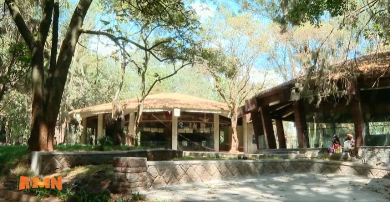 ተፈጥሮን ከዘመናዊነት ጋር ያጣመረው የፒኮክ መናፈሻ አዲስ ገጽታ