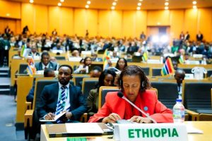 Read more about the article የአፍሪካ ሀገራት የንግድና ኢንቨስትመንት በማሳደግ አስተማማኝ የኢኮኖሚ ምኅዳር ለመገንባት በአባል ሀገራት መካከል ትብብርን ማጠናከር ይገባል – የተባበሩት መንግሥታት የአፍሪካ ኢኮኖሚክ ኮሚሽን