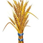 Read more about the article ብልፅግና ፓርቲ የኢትዮጵያን የተጽዕኖ አድማስ ለማስፋትና የሕዝብን ተጠቃሚነት ለማረጋገጥ በትጋት ይሠራል