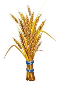 Read more about the article ብልፅግና ፓርቲ የኢትዮጵያን የተጽዕኖ አድማስ ለማስፋትና የሕዝብን ተጠቃሚነት ለማረጋገጥ በትጋት ይሠራል