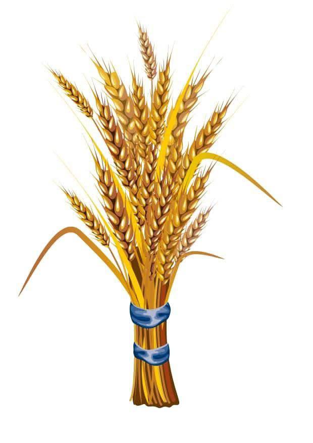 You are currently viewing ብልፅግና ፓርቲ የኢትዮጵያን የተጽዕኖ አድማስ ለማስፋትና የሕዝብን ተጠቃሚነት ለማረጋገጥ በትጋት ይሠራል