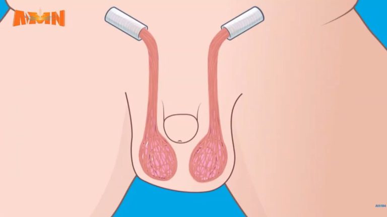 631658664_1372262771613759_238605731481866710_n