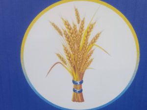 Read more about the article ብልጽግና ፓርቲ አዲስ የምርጫ መወዳደሪያ ምልክት እና ማኒፌስቶ ይፋ አደረገ