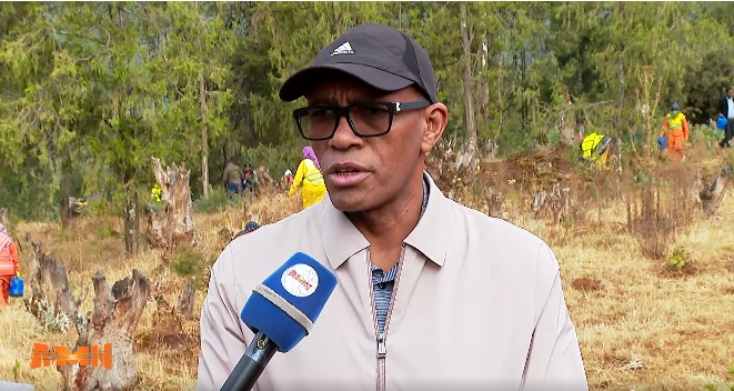 ችግኝ መትከል የመጀመሪያው እርምጃ ቢሆንም፣ እንክብካቤ ወሳኝ ነው - ኢንጂነር ወንድሙ ሴታ