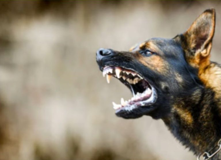 638488291_1382275520612484_1322361416121714144_n