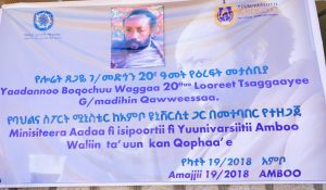 Read more about the article የሎሬት ፀጋዬ ገብረመድህን (ሮባ ቀዌሳ) 20ኛው ዓመት መታሰቢያ በአምቦ ከተማ ተካሄደ