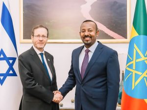 Read more about the article እየጎለበተ የመጣው ወዳጅነት