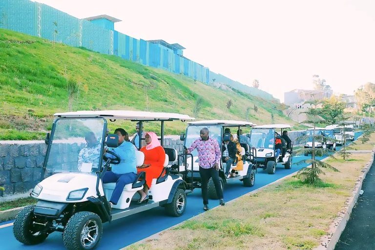 ለአፍሪካ ከተሞች የለውጥ ፋና ወጊውልማት