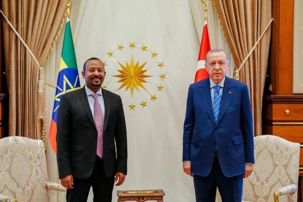 photo_2026-02-17_11-19-39