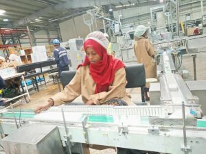 Read more about the article የኢንዱስትሪ ሚኒስቴር በተኪ ምርት 5 ቢሊዮን ዶላር ማዳን መቻሉን ገለጸ