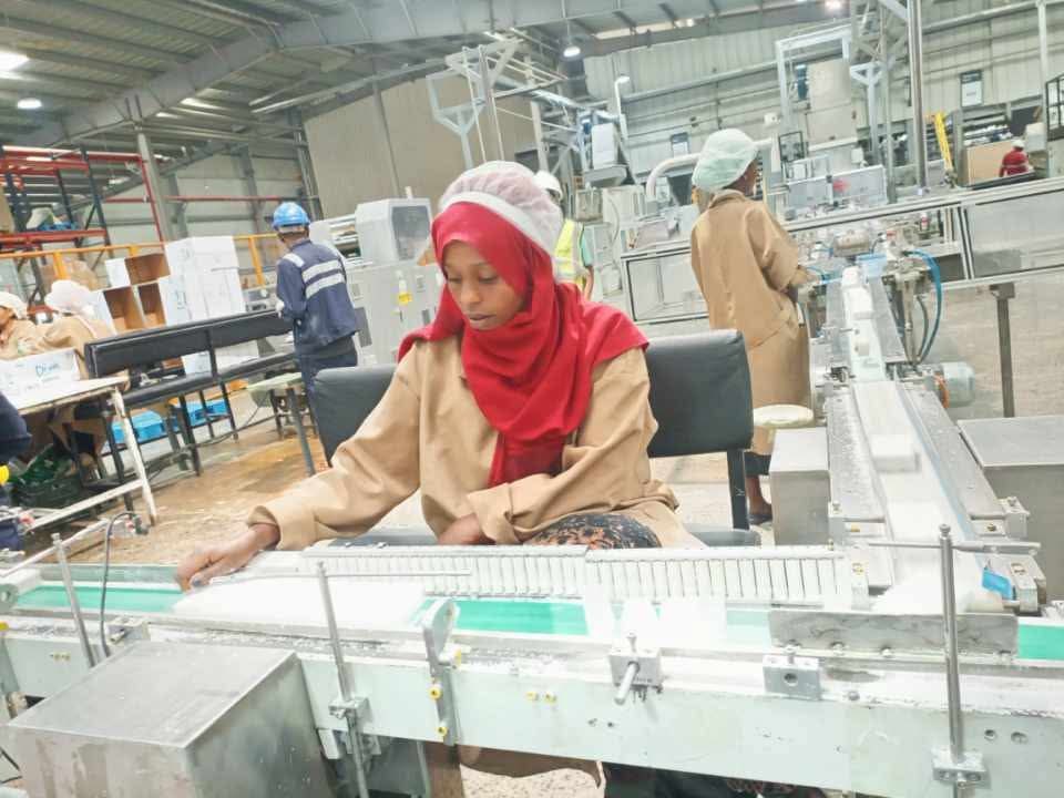 You are currently viewing የኢንዱስትሪ ሚኒስቴር በተኪ ምርት 5 ቢሊዮን ዶላር ማዳን መቻሉን ገለጸ