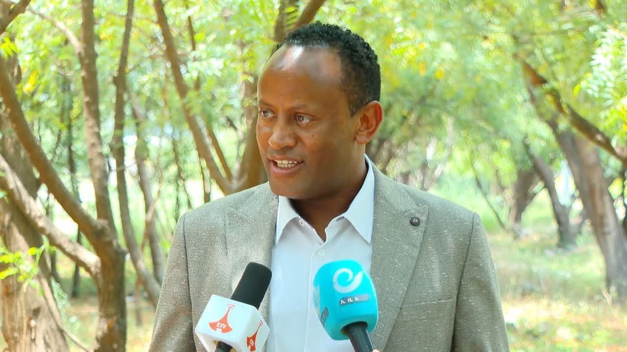 You are currently viewing ትግራይ ክልል ለልማትና ሰላም ግንባታ የተሰለፉ ወጣቶችን ትፈልጋለች – አብረሃም በላይ (ዶ/ር)