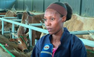 Read more about the article ከተረጂነት ወደ አምራችነት- የወ/ሮ ዘይነባ አስደናቂ የለውጥ ጉዞ