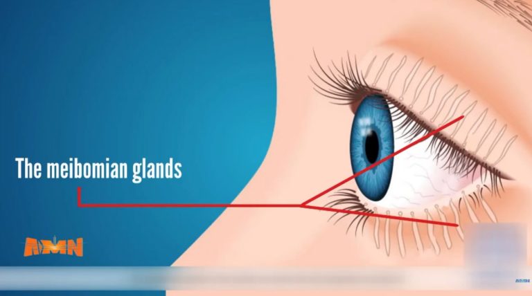 643888672_1390921096414593_1411820292717492924_n