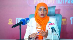 Read more about the article “የጥበብ ስጦታ ለኢትዮጵያ ከፍታ” የኪነ-ጥበብ ፌስቲቫል ሊካሄድ ነው