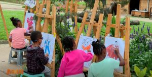 Read more about the article የተፈጥሮ ውበትንና የቤተሰብ መዝናኛን አጣምሮ የያዘው የቡልቡላ ፓርክ