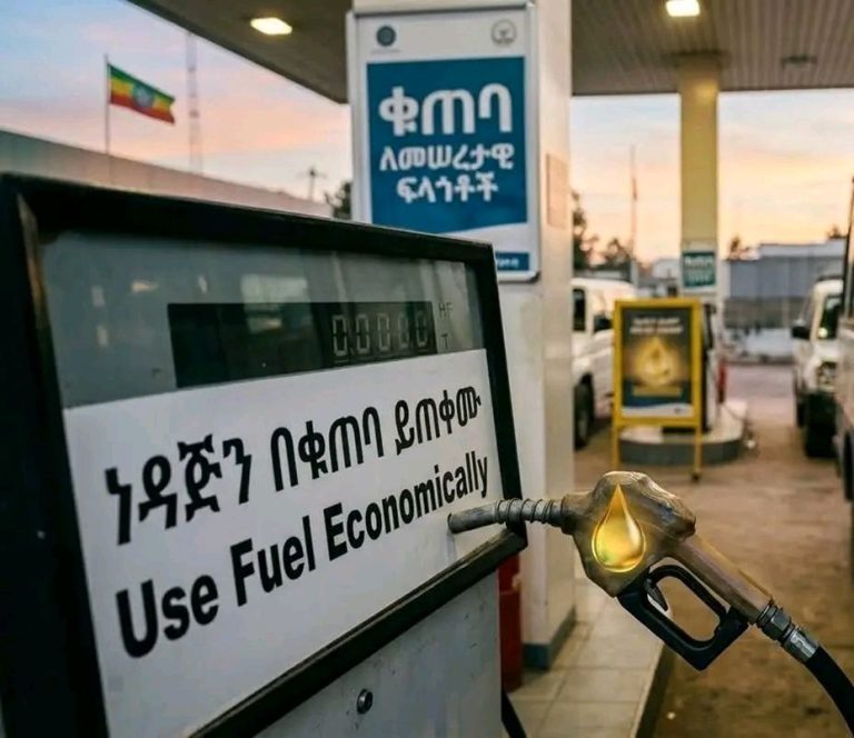 658881598_1415397587300277_6899725840949999846_n