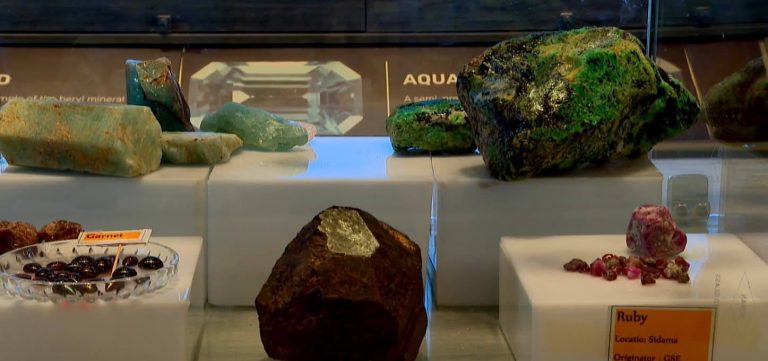 660985885_1416316530541716_8400250749564544190_n