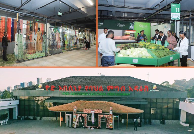 አዳዲሶቹ የኢኮኖሚ አቅሞች