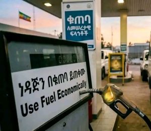 Read more about the article ኢትዮጵያ በየወሩ ለነዳጅ ድጎማ እያወጣች ያለው ከ15-20 ቢሊየን ብር 20 ሆስፒታሎችን የሚገነባ ነው