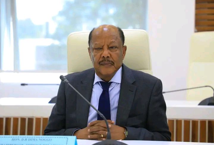 You are currently viewing የኢትዮጵያ የባህር በር ጥያቄ ምክንያታዊ ነው -የአውሮፓ ህብረት ፓርላማ አባል