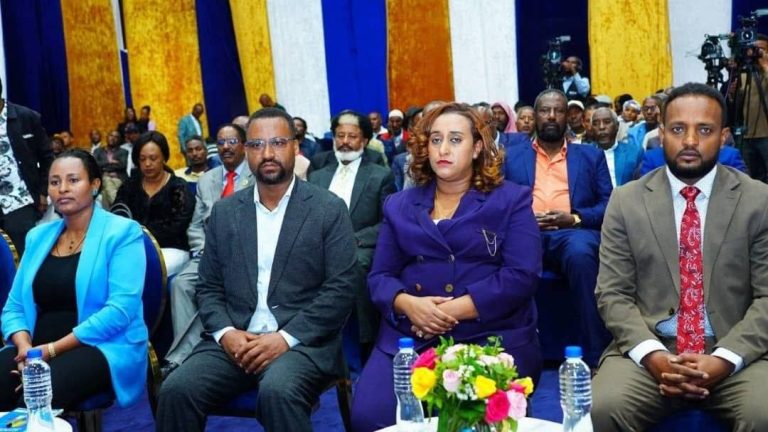 አዉደ ሰላም የቴሌቪዥን ፕሮግራም በአዲስ ሚዲያ ኔትዎርክ ተጀመረ