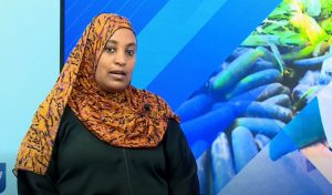 Read more about the article በአዲስ አበባ የትንሳኤ በዓል ገበያ፣ በተተመነ ዋጋ ላይ ጭማሪ ባደረጉ ነጋዴዎች ላይ እርምጃ ተወሰደ