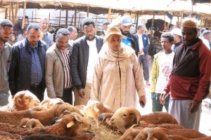 Read more about the article የትንሳኤ በዓልን ምክንያት በማድረግ በቂ ምርቶች በስፋት እየቀረቡ መሆናቸው ተገለጸ