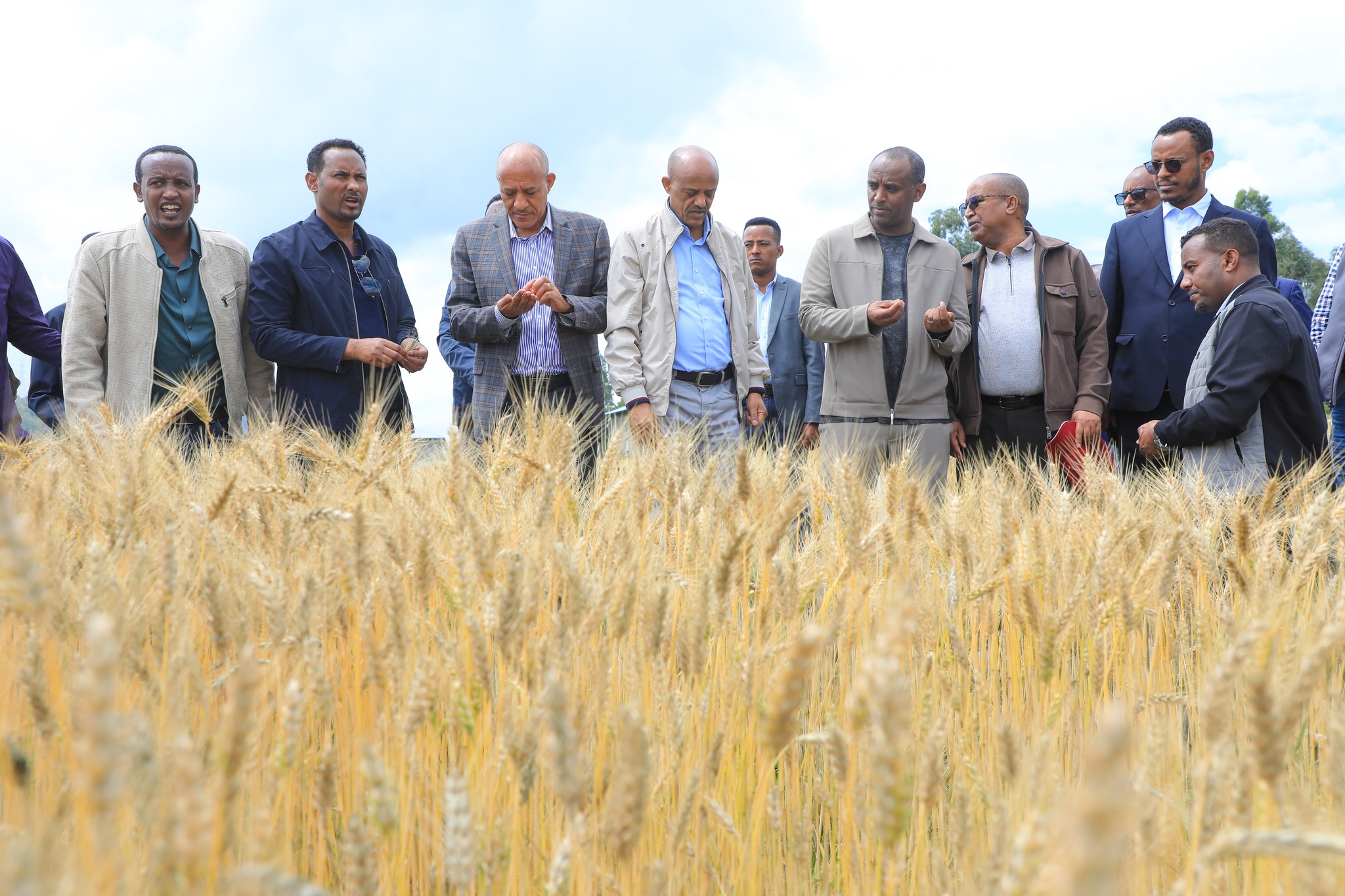 You are currently viewing የበጋ መስኖ ስንዴ ልማት ሀገራችን በምግብ ራሷን ለመቻል የጀመረችው ጉዞ በተግባር እያረጋገጠ ነው- ምክትል ጠቅላይ ሚኒስትር ተመስገን ጥሩነህ