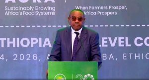 Read more about the article ኢትዮጵያ በስንዴ ልማት ያስመዘገበችው ስኬት ለአፍሪካውያን በምሳሌነት የሚጠቀስ ነው