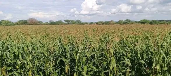 672676676_1433055818867787_3830141362215405552_n