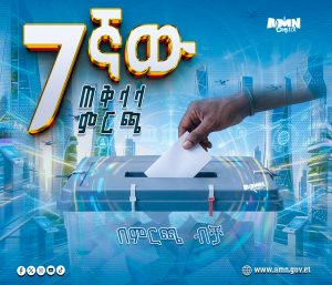 Read more about the article ለ7ኛው ጠቅላላምርጫ የታዛቢዎች መብት ፣ ግዴታና ዝግጅት