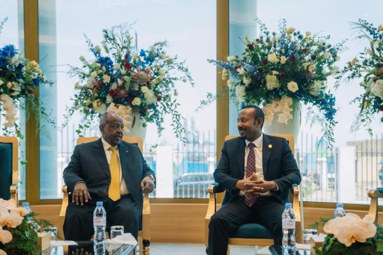 ጠቅላይ ሚኒስትር ዐቢይ አሕመድ በፕሬዚዳንት ኢስማኤል ኦማር ጊሌ የበዓለ ሲመት ሥነ ሥርዓት ላይ ተገኙ
