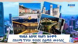 Read more about the article የኢትዮ- ፈረንሳይ ዲፕሎማሲ በአዲስ አበባና በሊዮን ቃል ኪዳን ሲፈተሽ