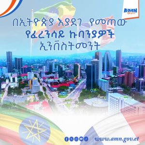Read more about the article የፈረንሳይ ኩባንያዎች በኢትዮጵያ ያላቸውን ተሳትፎ እያሰፉ ነው