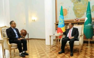 Read more about the article ፕሬዝዳንት ታዬ አፅቀሥላሴ ከቢግ ዊን ፊላንትሮፒ ዋና ሥራ አስፈጻሚ ዶክተር ከሰተብርሃን አድማሱ ጋር ተወያዩ
