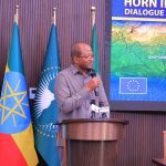 Read more about the article የምስራቅ አፍሪካን ዘላቂ ሰላምና ዕድገት ለማፋጠን የጋራ ተጠቃሚነትን የሚያረጋግጥ ትብብር ማጎልበት ያስፈልጋል