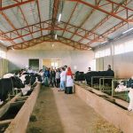 Read more about the article ገላን ጉራ የብልጽግና አሻራ!- ከንቲባ አዳነች