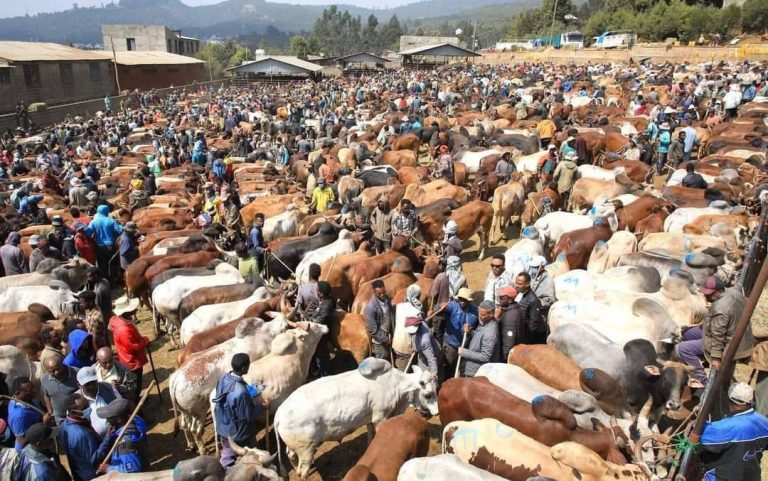 ለዒድ አል-አድሃ (ዓረፋ) በዓል የምርት እጥረት እንዳያጋጥም እንዲሁም የተረጋጋ ግብይት እንዲኖር ዝግጅት አድርገናል - ከንቲባ አዳነች አቤቤ