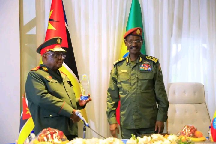 ያለ አስተማማኝ አህጉራዊና ቀጣናዊ ሰላም ልማትና ዕድገትን ማረጋገጥ አይቻልም - ፊልድ ማርሻል ብርሃኑ ጁላ