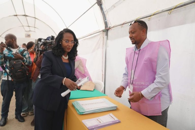 ማንኛውም ዜጋ በሀገሩ ጉዳይ ላይ የድርሻውን ጠጠር ለመጣል በምርጫ መሳተፉ የዲሞክራሲያዊ ማኅበረሰብ ግንባታ ዋነኛ አካል መሆኑ ተገለጸ
