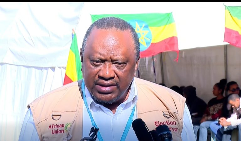 በ7ኛው ጠቅላላ ምርጫ ዜጎች የሚፈልጉትን ፓርቲ በነፃነት መምረጥ መቻላቸውን ታዝበናል - ዓለም አቀፍ ታዛቢዎች