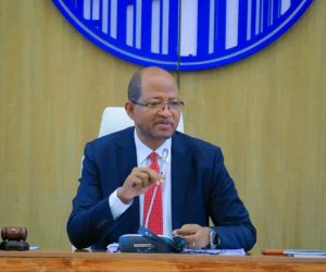 Read more about the article ምክር ቤቱ የብድር ስምምነቶችን አፀደቀ