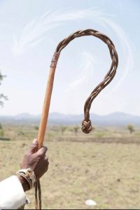 Read more about the article “አለንጌ” – ለዘመናዊዉ ዴሞክራሲ ተምሳሌት የሆነ የኦሮሞ ህዝብ የሥልጣን ርክክብ ባህላዊ ሥርዓት